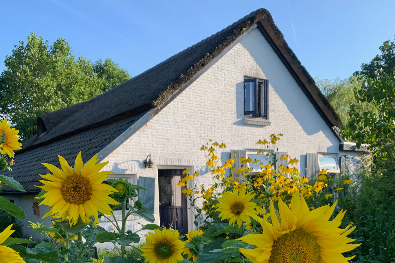 huis met zonnenbloemen